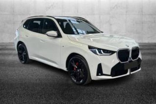 usato BMW X3