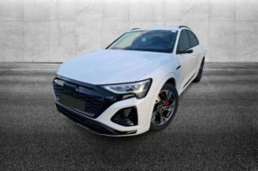 Q8 e tron