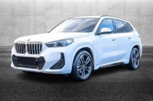 usato BMW X1