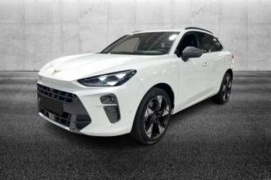 usato CUPRA Terramar