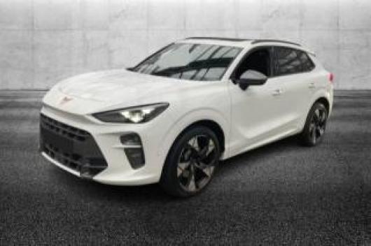 usato CUPRA Terramar