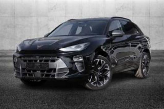 usato CUPRA Terramar