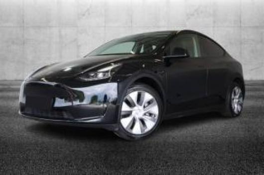 usato TESLA Model Y