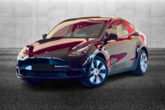 usato TESLA Model Y