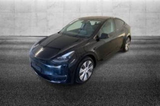 usato TESLA Model Y