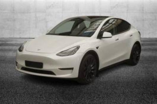 usato TESLA Model Y