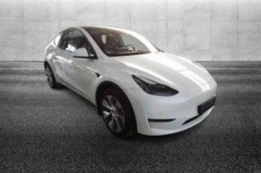 usato TESLA Model Y