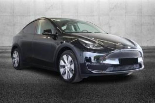 usato TESLA Model Y