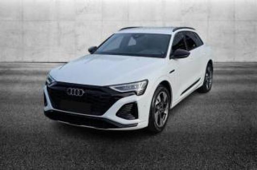 usato AUDI Q8 e tron