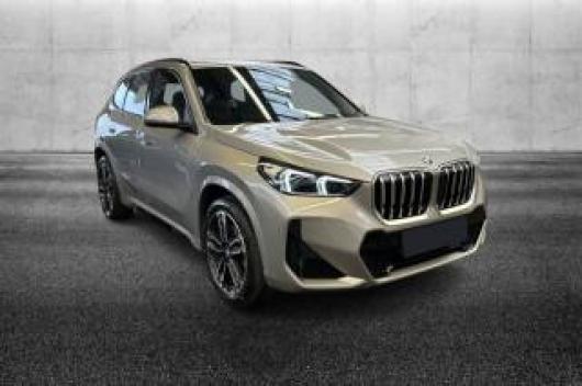 usato BMW X1