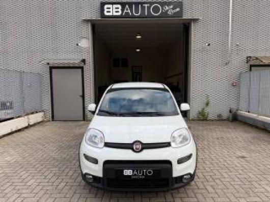 usato FIAT Panda