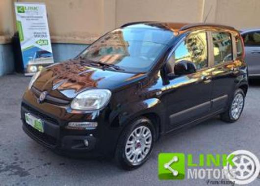 usato FIAT Panda