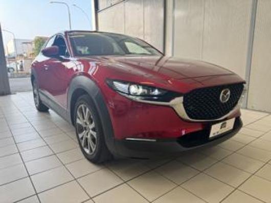 CX 30