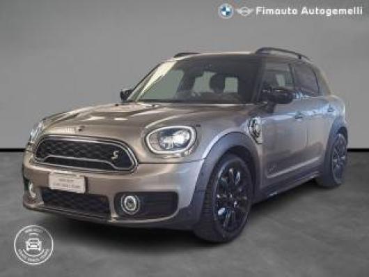 usato MINI Countryman