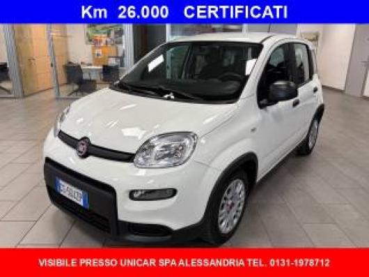 usato FIAT Panda