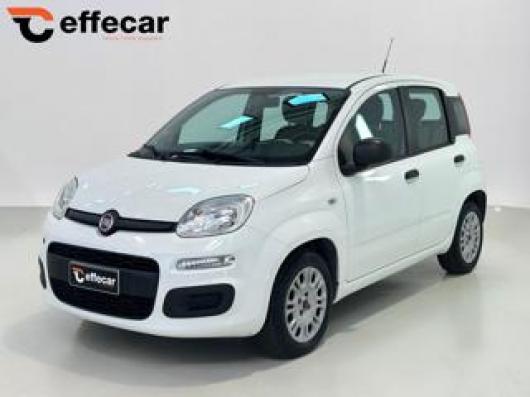 usato FIAT Panda