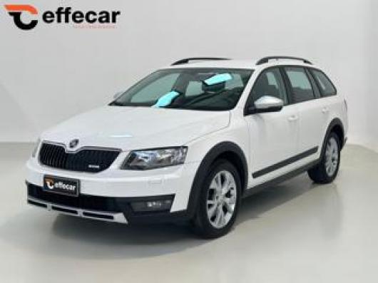 usato SKODA Octavia
