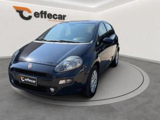 usato FIAT Punto