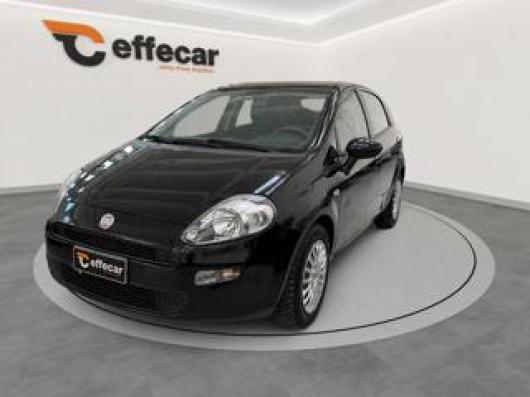 usato FIAT Punto