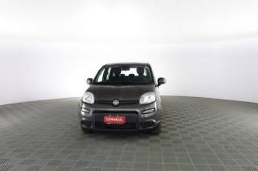 usato FIAT Panda