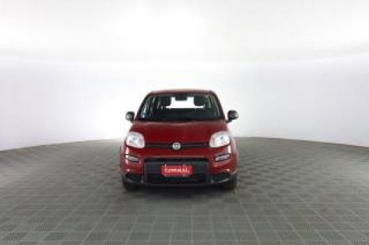 usato FIAT Panda