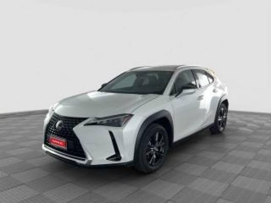 usato LEXUS Altro