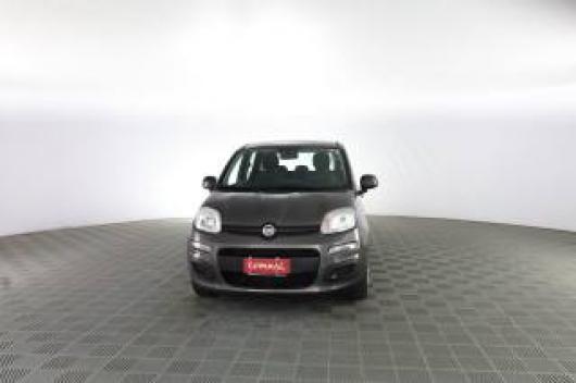 usato FIAT Panda