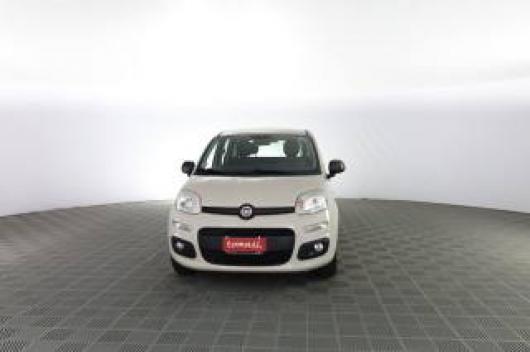 usato FIAT Panda