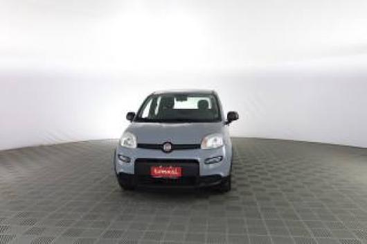 usato FIAT Panda