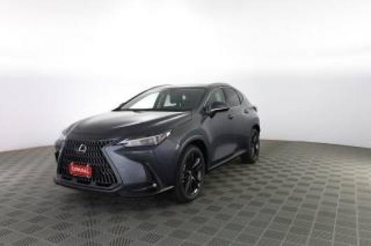 usato LEXUS Altro