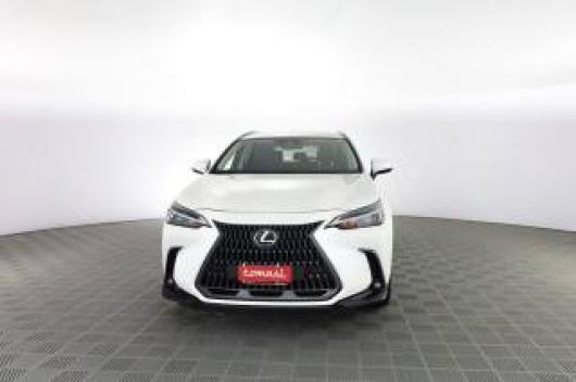 usato LEXUS Altro