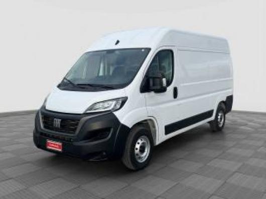 usato FIAT Ducato