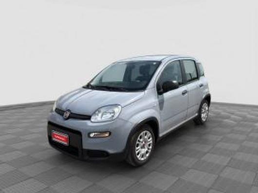 usato FIAT Panda