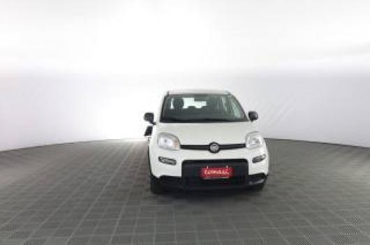 usato FIAT Panda