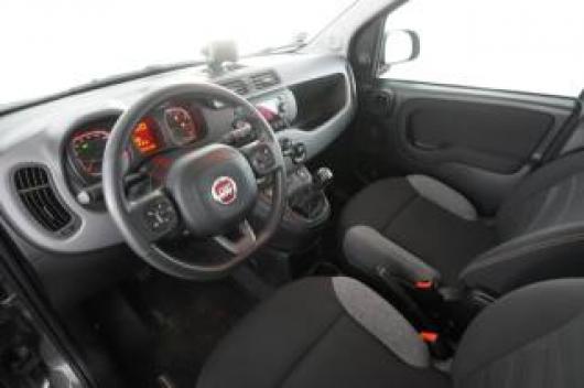 usato FIAT Panda