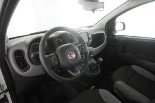 usato FIAT Panda