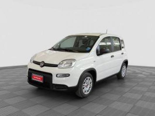 usato FIAT Panda