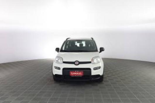 usato FIAT Panda