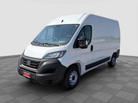 usato FIAT Ducato