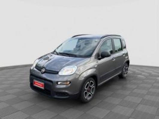 usato FIAT Panda