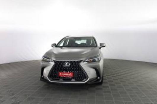 usato LEXUS Altro