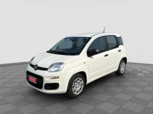usato FIAT Panda