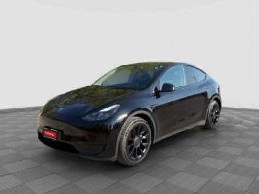 usato TESLA Model Y