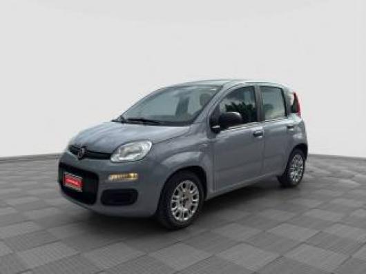 usato FIAT Panda