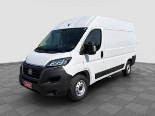 usato FIAT Ducato