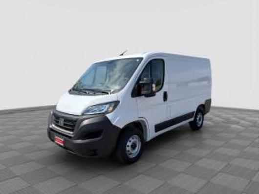 usato FIAT Ducato