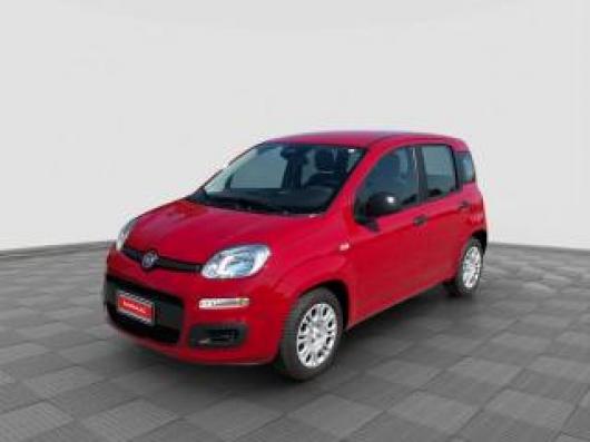 usato FIAT Panda