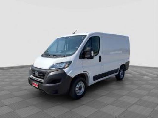 usato FIAT Ducato