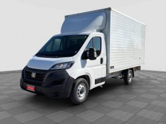 usato FIAT Ducato