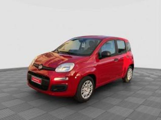 Km 0 FIAT Pandina